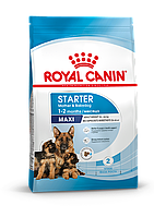 Royal Canin Maxi Starter mother & babydog, сухой корм для щенков пород крупных размеров, 15кг., (Россия)