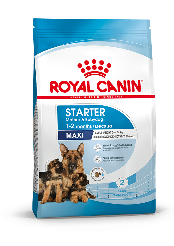 Royal Canin Maxi Starter mother & babydog, сухой корм для щенков пород крупных размеров, 15кг., (Россия) - фото 1 - id-p224422780