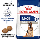 Сухой корм Royal Canin Maxi Adult 5+ для стареющих собак крупных размеров старше 5 лет   15кг., фото 2