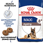 Сухой корм Royal Canin Maxi Ageing 8+ для стареющих собак крупных размеров старше 8 лет  15кг., фото 2