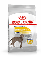 Royal Canin Maxi Dermacomfort, сухой корм для взрослых и стареющих собак крупных размеров, 3кг., (Россия)