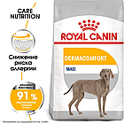 Сухой корм Royal Canin Maxi Dermacomfort для взрослых и стареющих собак с чувствительной кожей 3кг., фото 2
