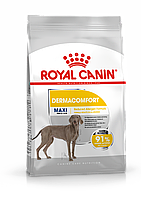 Royal Canin Maxi Dermacomfort, сухой корм для взрослых и стареющих собак крупных размеров, 10кг., (Россия)
