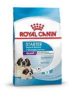 Royal Canin Giant Starter Mother & Babydog, сухой корм для щенков собак очень крупных размеров, 4кг., (Россия)