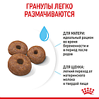 Сухой корм Royal Canin Giant Starter Mother & Babydog для щенков и собак очень крупных размеров 4кг., фото 2