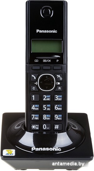 Радиотелефон Panasonic KX-TG1711RUB - фото 3 - id-p224426136