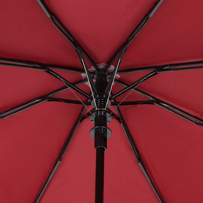 Зонт полуавтоматический «Розы», с проявляющимся рисунком, 3 сложения, 8 спиц, R = 48 см, цвет МИКС - фото 3 - id-p224430219