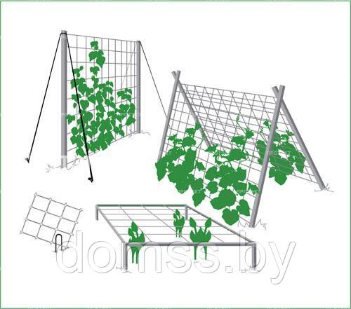 Шпалерная (садовая) сетка для цветов ячейка 130х150мм рулон 1,7х500м, светло зеленая - фото 7 - id-p224432198