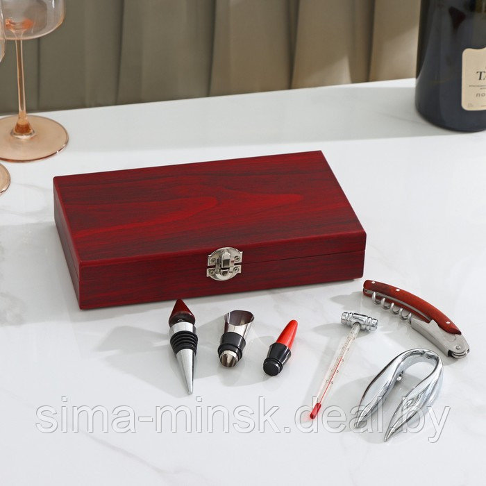 Набор для вина, 5 предметов: штопор, аэратор, пробка, термометр, резец для фольги - фото 1 - id-p224436494