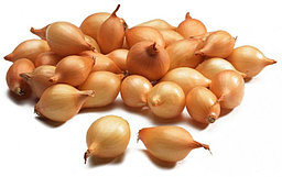 Лук-севок Штуттгартер (10-17 мм.), Нидерланды