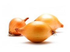 Лук-севок Стурон (10-17 мм.), Нидерланды