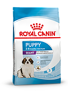 Royal Canin Giant Puppy, сухой корм для щенков собак очень крупных размеров,15кг., (Россия)