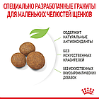 Сухой корм Royal Canin Giant Puppy для щенков собак очень крупных размеров от 2 месяцев 3.5 кг., фото 2