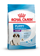 Royal Canin Giant Puppy, сухой корм для щенков собак очень крупных размеров,3,5кг., (Россия)