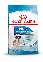 Royal Canin Giant Junior, сухой корм для щенков собак очень крупных размеров,3,5кг., (Россия)