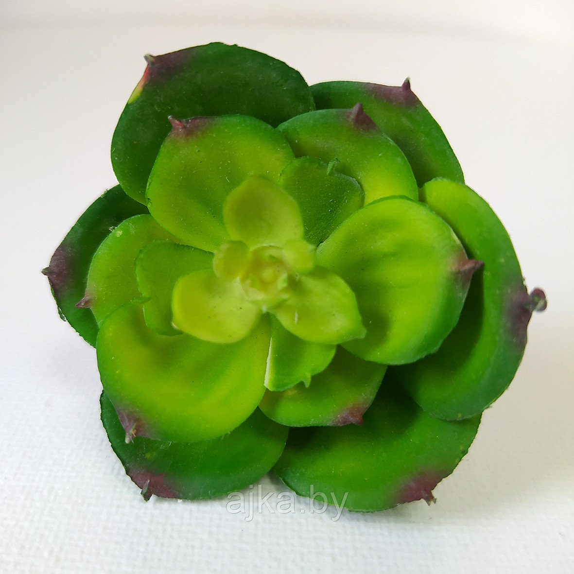Суккулент искусственный 5.5 см