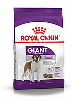 Royal Canin Giant Adult, сухой корм для взрослых собак очень крупных размеров, 4кг., (Россия)