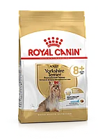 Royal Canin Yorkshire Terrier 8+ сухой корм для стареющих собак породы Йоркширский Терьер, 0,5кг., (Россия)