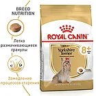 Сухой корм Royal Canin Yorkshire Terrier 8+ для стареющих собак породы Йоркширский Терьер 500гр., фото 2