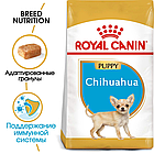 Сухой корм Royal Canin Chihuahua Puppy для щенков породы чихуахуа  500гр., фото 2