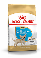 Royal Canin Chihuahua Puppy, сухой корм для щенков породы чихуахуа в возрасте до 8 месяцев, 1,5кг., (Россия)
