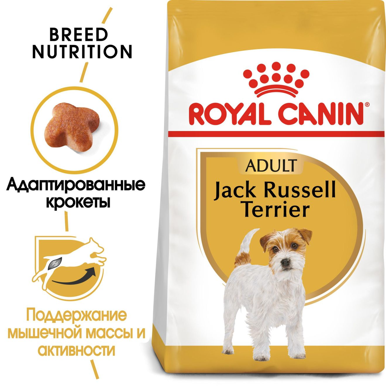 Royal Canin Jack Russel сухой корм для взрослых и стареющих собак породы Джек Рассел терьер, 0,5кг, (Франция) - фото 2 - id-p224441636
