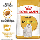 Сухой корм Royal Canin Maltese Adult для собак породы Мальтийская болонка 1.5 кг, фото 2