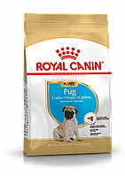 Royal Canin Pug Puppy сухой корм для щенков породы мопс в возрасте до 10 месяцев, 1,5кг, (Франция)