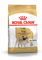 Royal Canin Pug, сухой корм для взрослых собак породы мопс в возрасте 10 месяцев и старше, 0,5кг., (Россия)