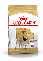 Royal Canin Pug, сухой корм для взрослых собак породы мопс в возрасте 10 месяцев и старше, 7,5кг., (Россия)