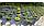 Агроткань против сорняков, ширина 1,8м, 100 гр/м² цвет черный, фото 4