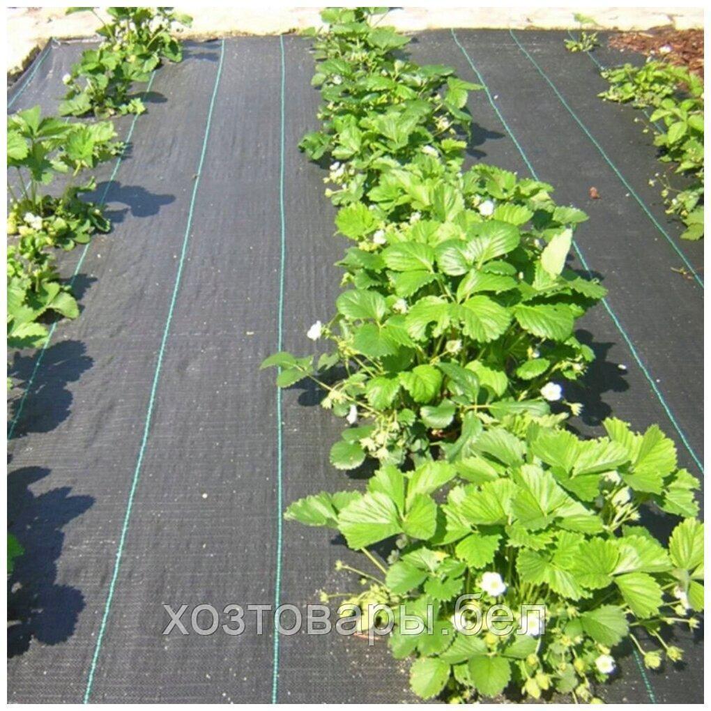 Агроткань против сорняков, ширина 1,8м, 100 гр/м² цвет черный - фото 7 - id-p224441822