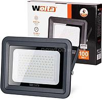 Уличный прожектор Wolta WFL-100W/06