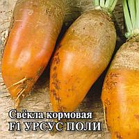 Свекла кормовая желтая 150гр Урсус Поли Польша