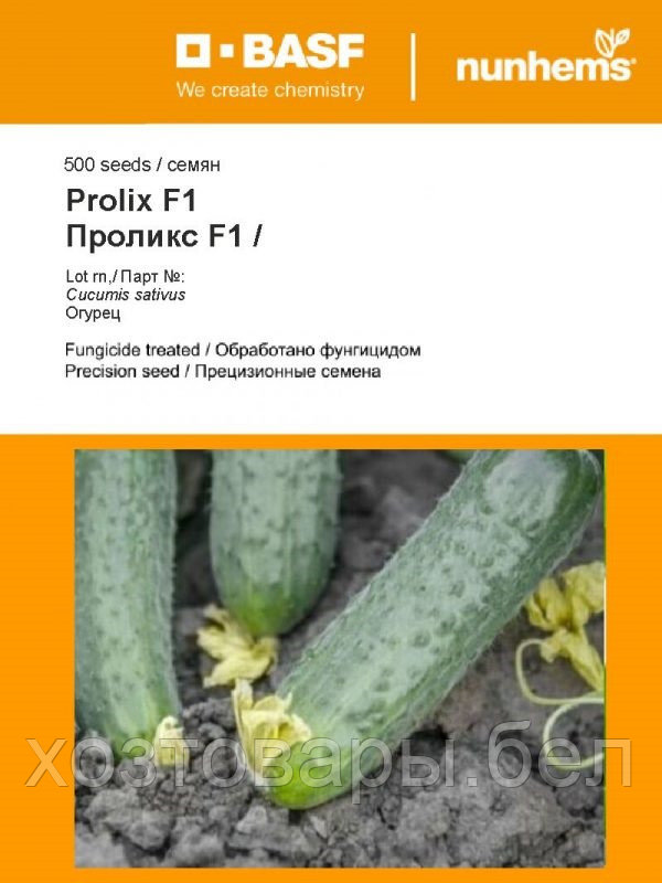 Семена огурца Проликс F1 10шт BASF Нидерланды - фото 2 - id-p224444066