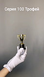 Кубок    "Трофей" , высота 9,7 см , чаша 3 см ,  арт.100-97, фото 2