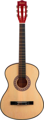 Акустическая гитара Terris TC-3805A NA - фото 1 - id-p224451248