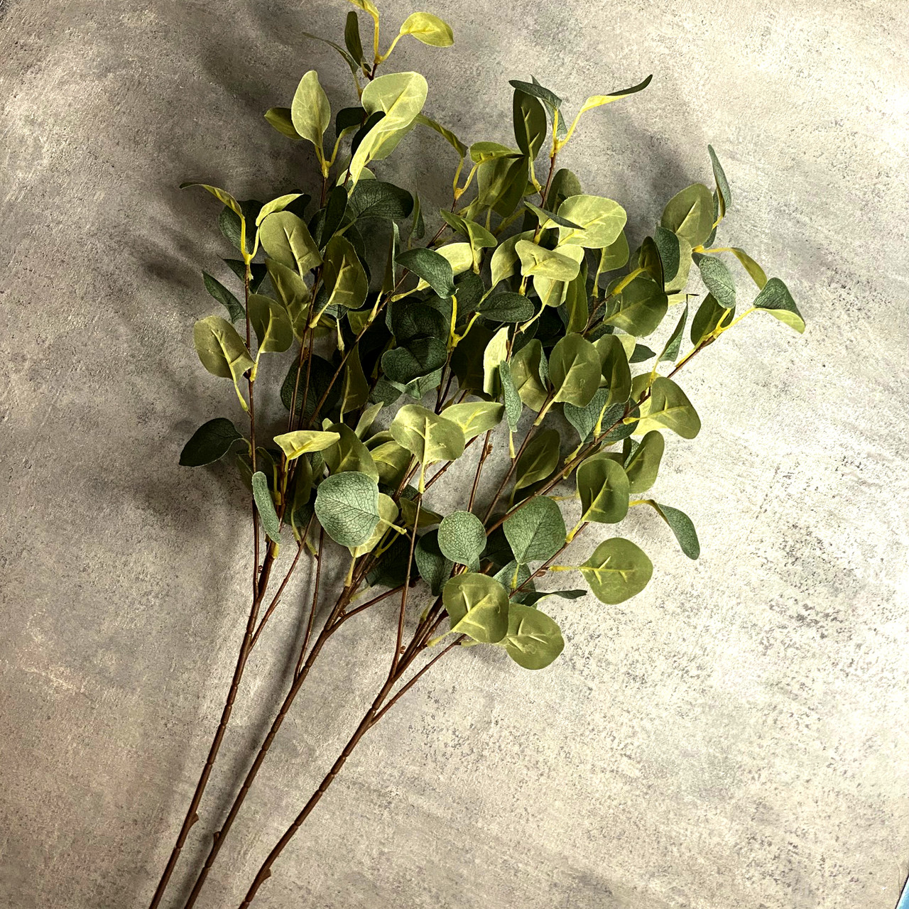Искусственные цветы ветка Эвкалипта высокая - фото 3 - id-p224452915