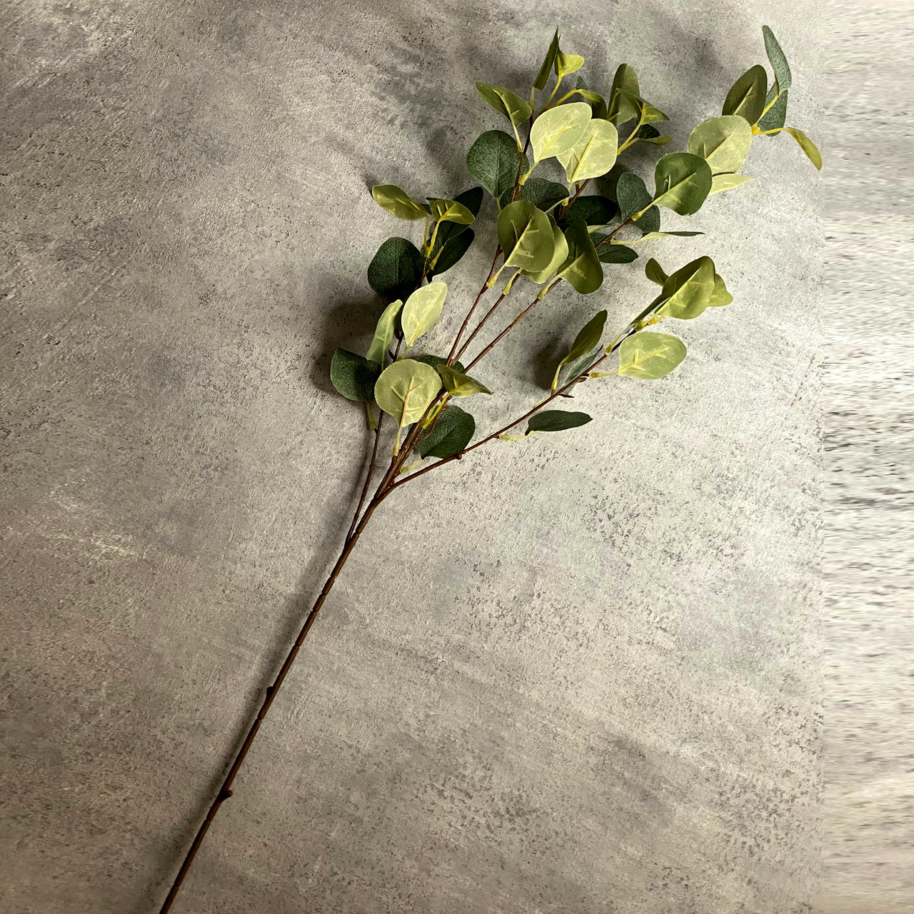 Искусственные цветы ветка Эвкалипта высокая - фото 2 - id-p224452915