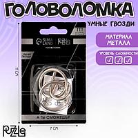 Головоломка Puzzle Умные гвозди №14