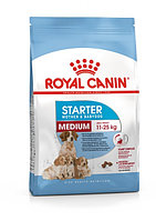 Royal Canin Starter Medium, 12 кг