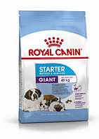 Royal Canin Giant Starter, 4 кг