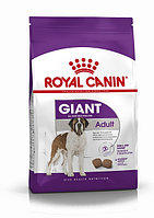 Royal Canin Giant Adult, 4 кг
