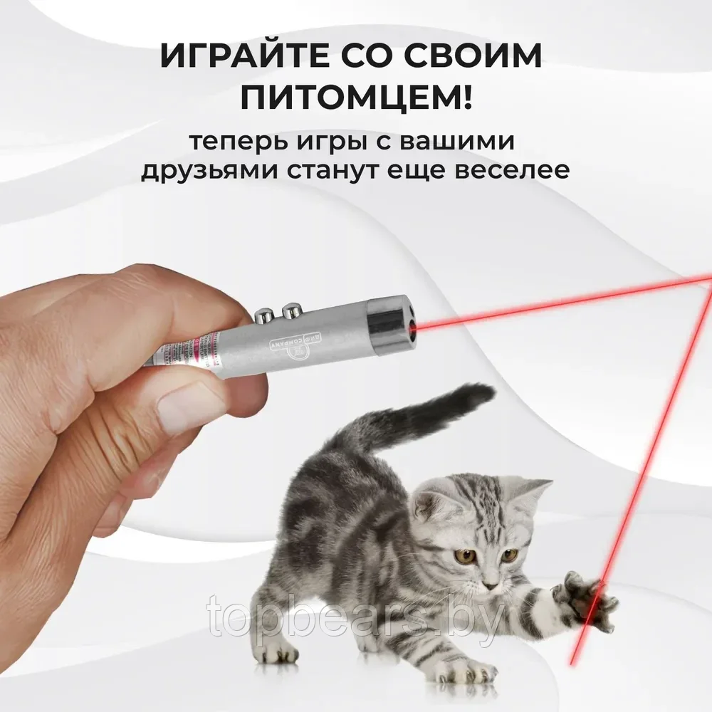 Лазерная указка для кошек и собак с карабином и фонариком, серебристая. Зоотовар для игры с домашним питомцем - фото 6 - id-p224458102