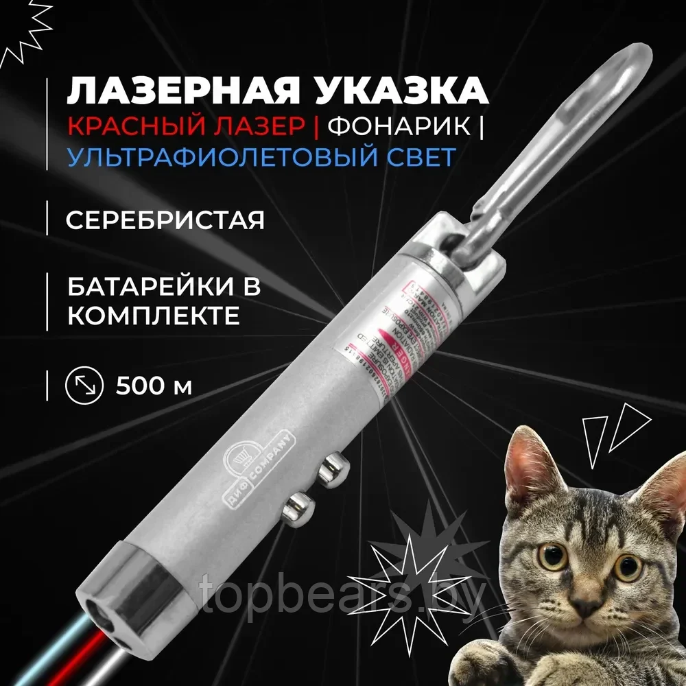 Лазерная указка для кошек и собак с карабином и фонариком, серебристая. Зоотовар для игры с домашним питомцем - фото 1 - id-p224458102