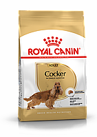 Royal Canin Cocker Adult, сухой корм для собак породы английский или американский кокер спаниель, 3кг., Россия