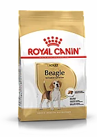 Royal Canin Beagle Adult сухой корм для взрослых и стареющих собак породы бигль, 3кг, (Франция)