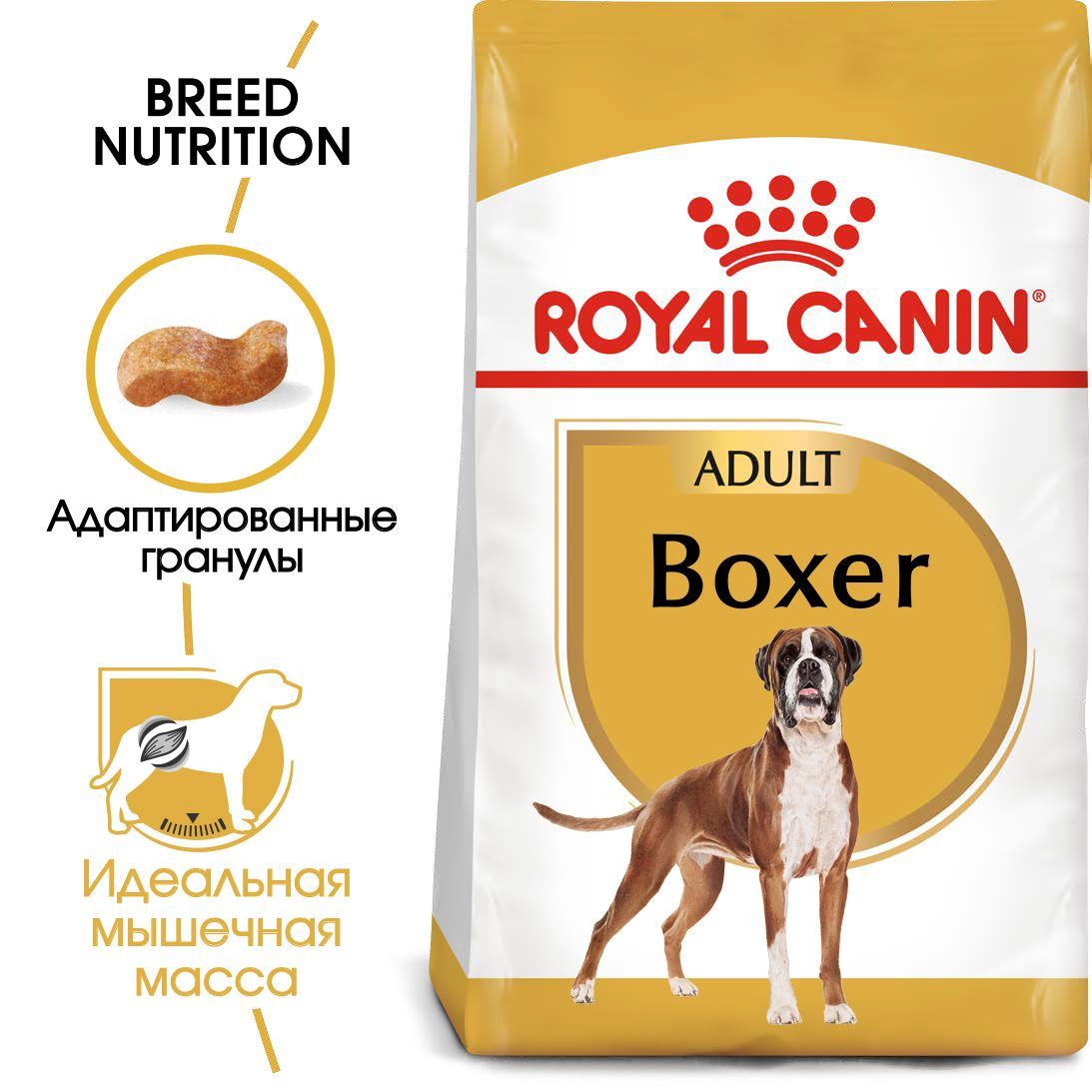 Royal Canin Boxer Adult сухой корм для взрослых и стареющих собак породы боксер, 12кг., (Россия) - фото 2 - id-p224458685