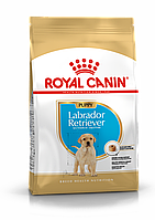 Royal Canin Labrador Retriever Puppy сухой корм для щенков породы лабрадор ретривер, 3кг., (Россия)