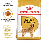 Сухой корм Royal Canin Labrador Retriever для взрослых собак породы лабрадор ретривер 3кг., фото 2